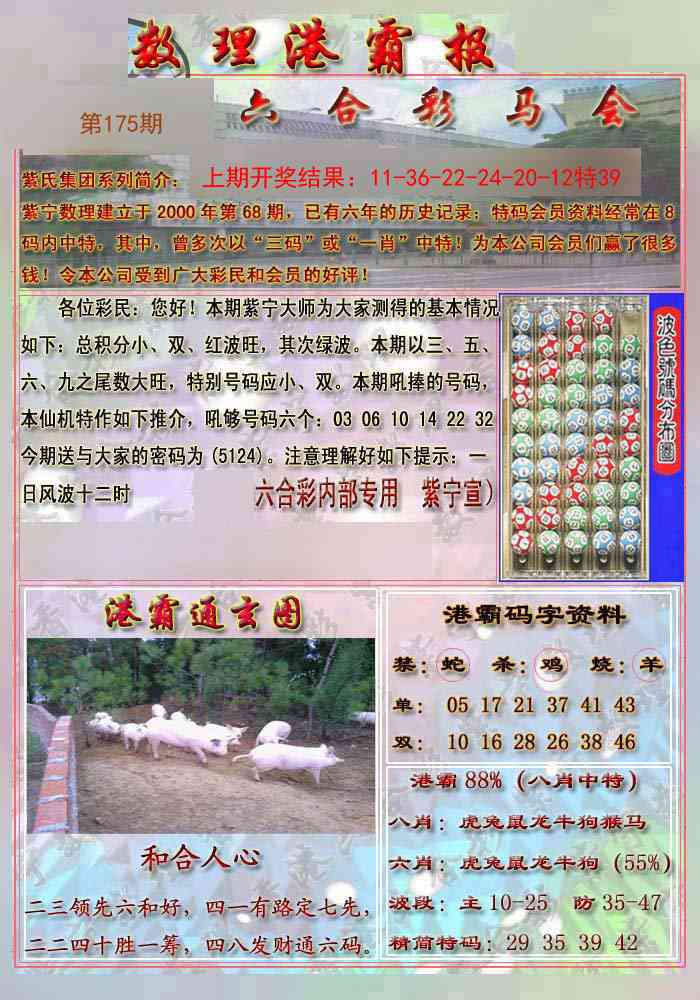 175期港霸报[图]