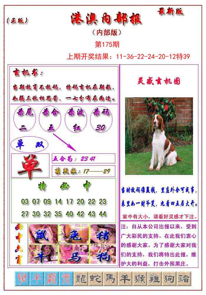 175期港澳报[图]