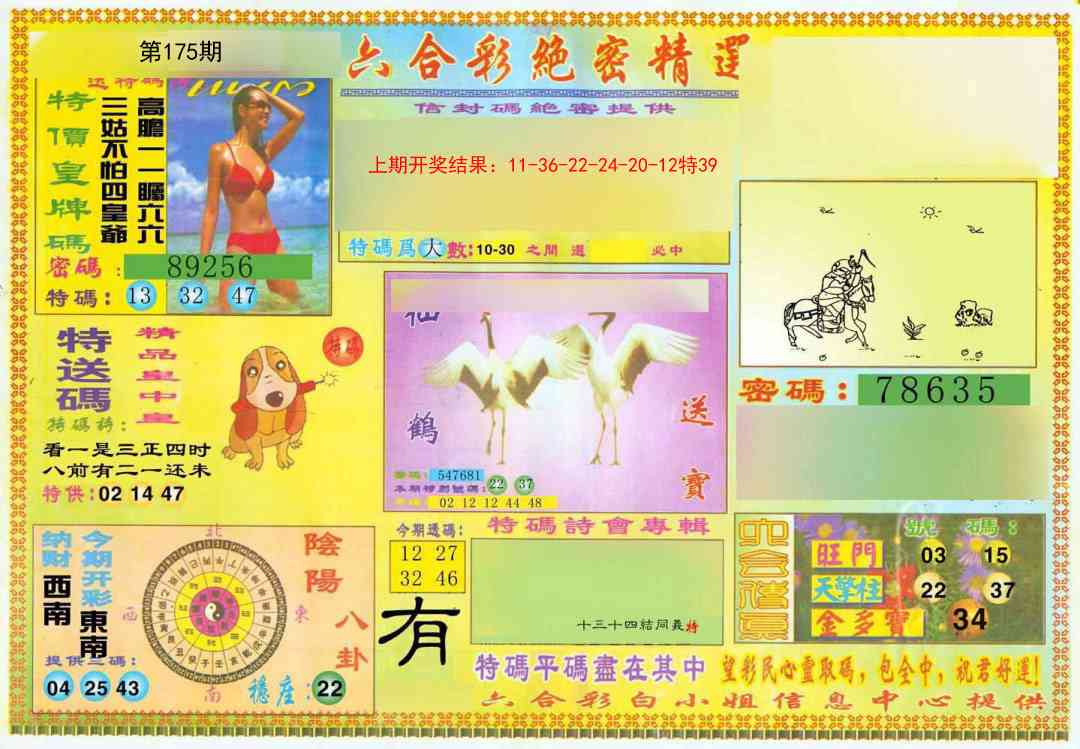 175期绝密精选A[图]