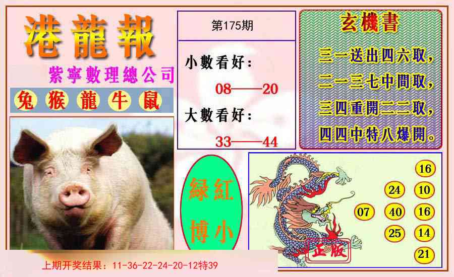 175期港龙报[图]