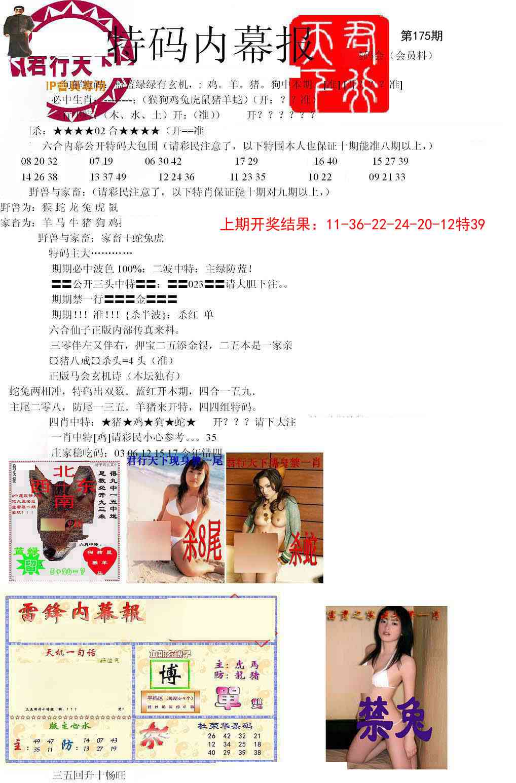 175期特码内幕报[图]