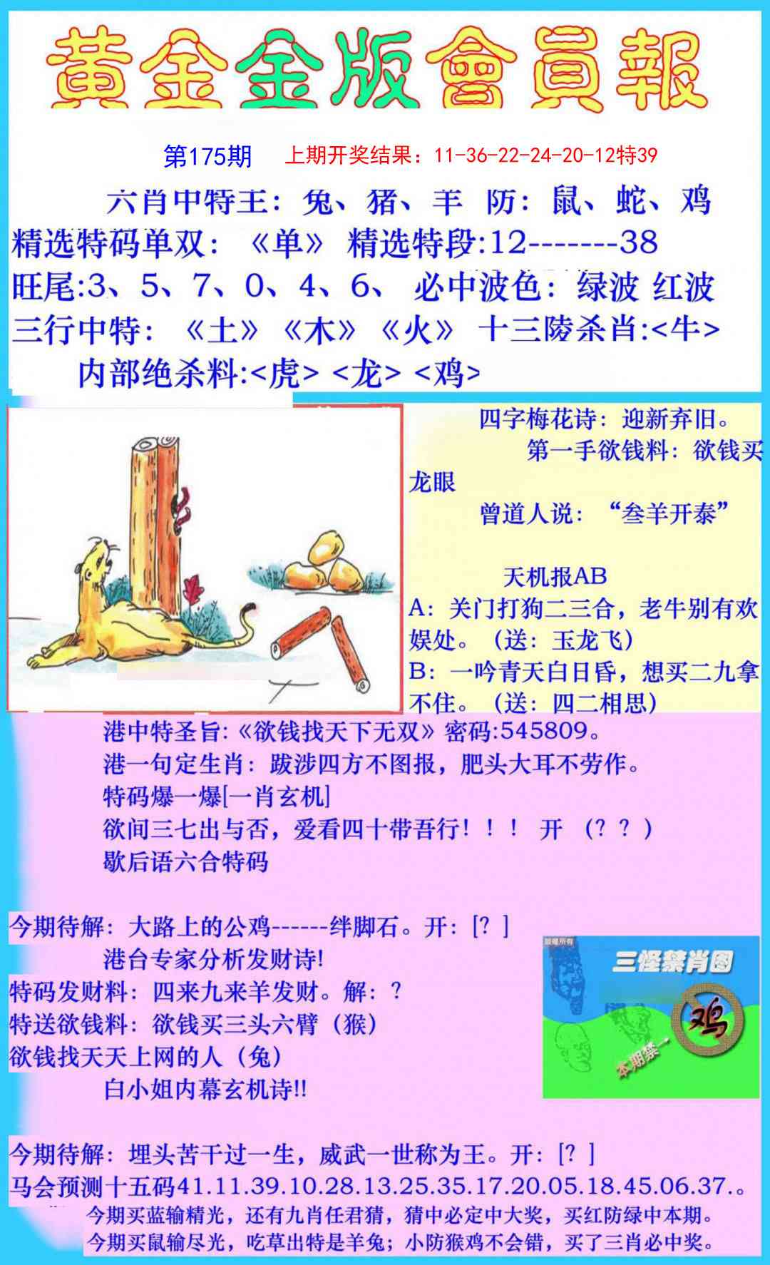 175期黄金金版会员报[图]