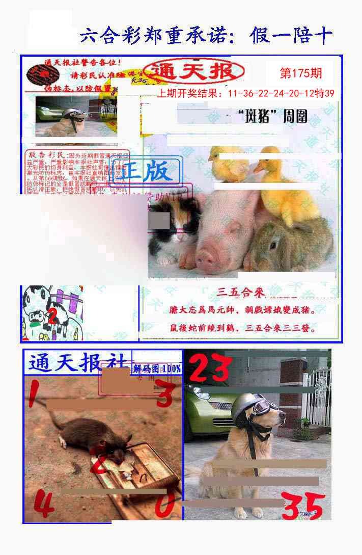 175期假一陪十通天报[图]