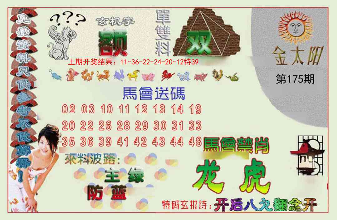 175期金太阳[图]