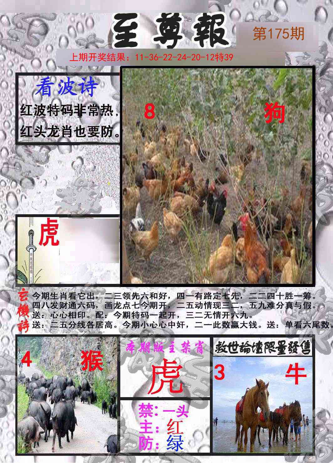 175期至尊报[图]