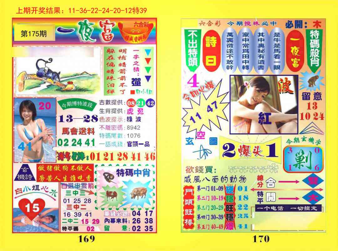 175期一夜富[图]