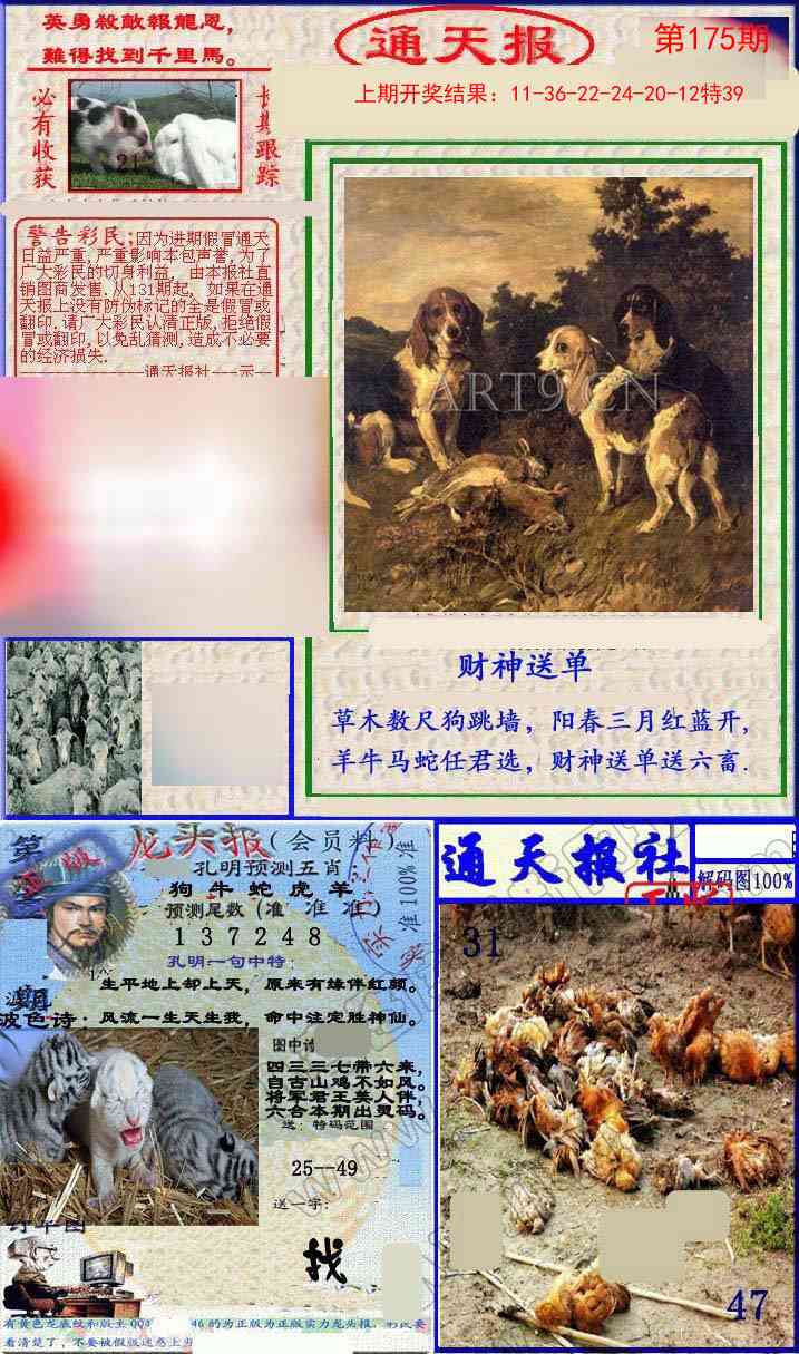 175期实力通天报[图]