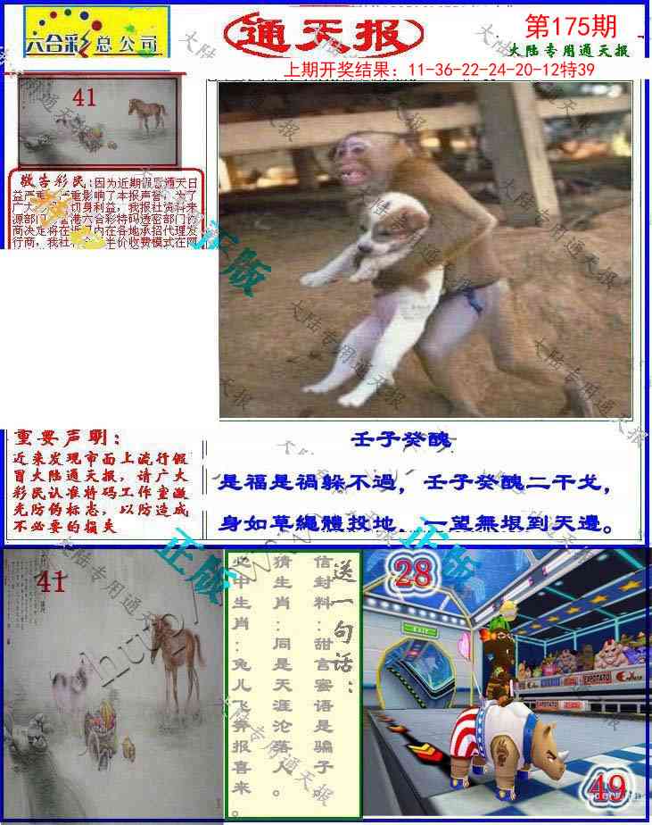175期大陆通天报[图]
