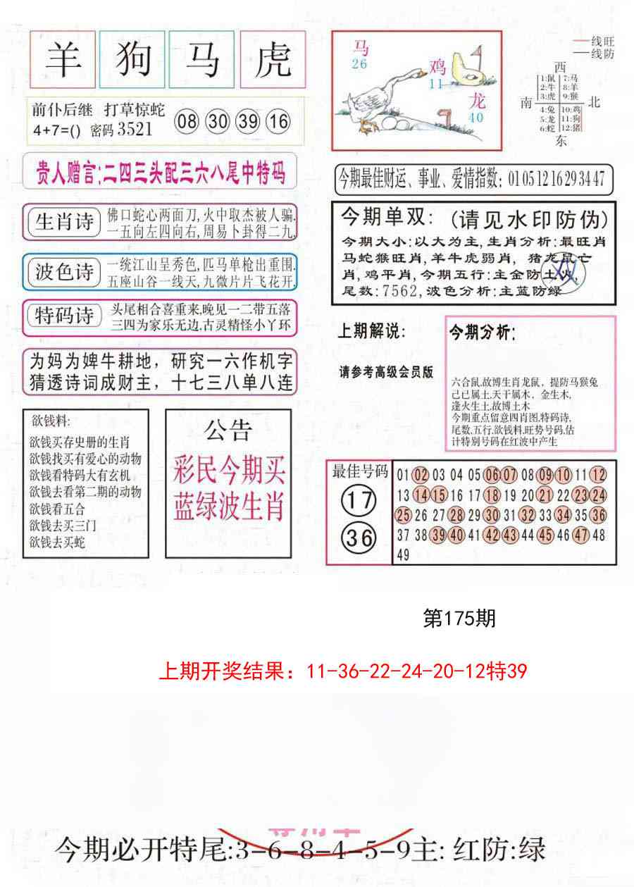 175期凤凰闲情A[图]