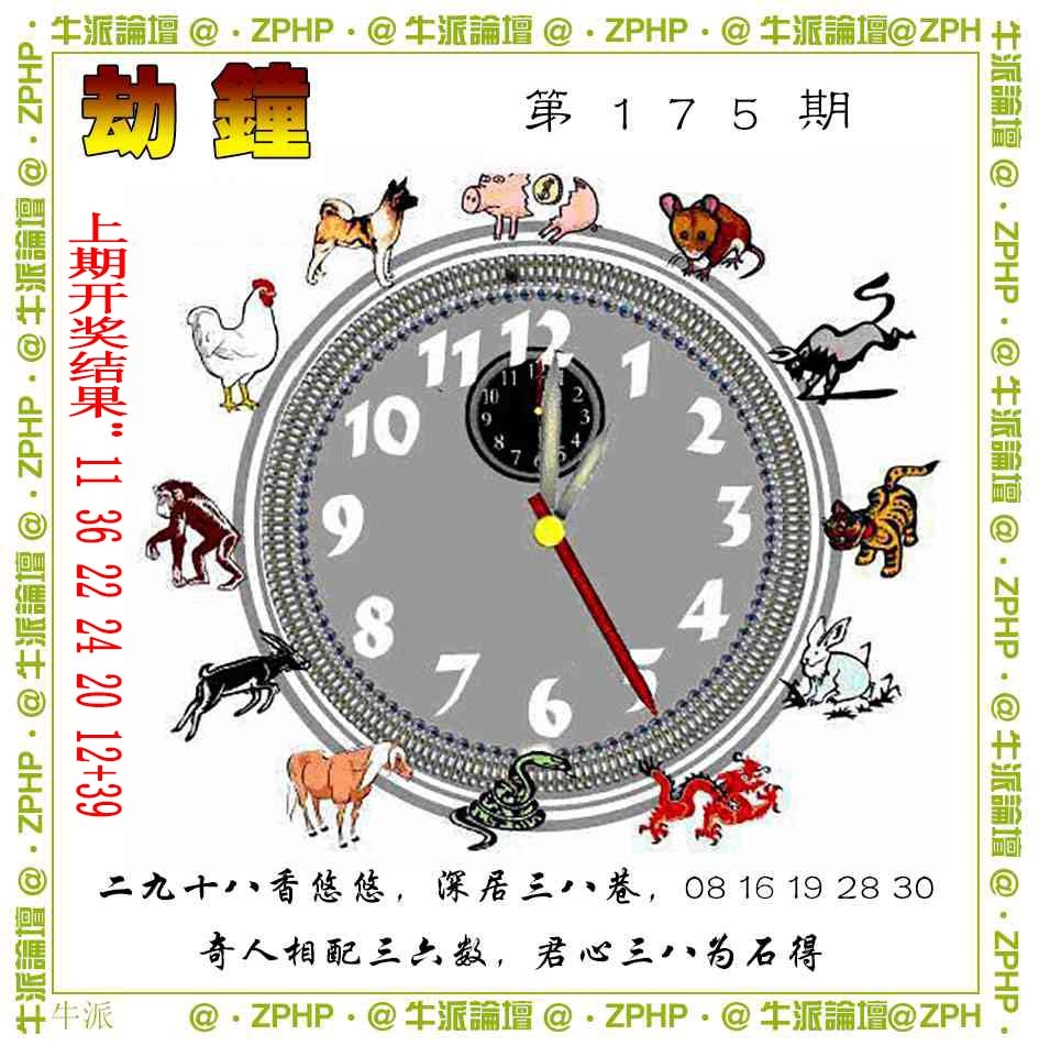 175期牛派系列4[图]