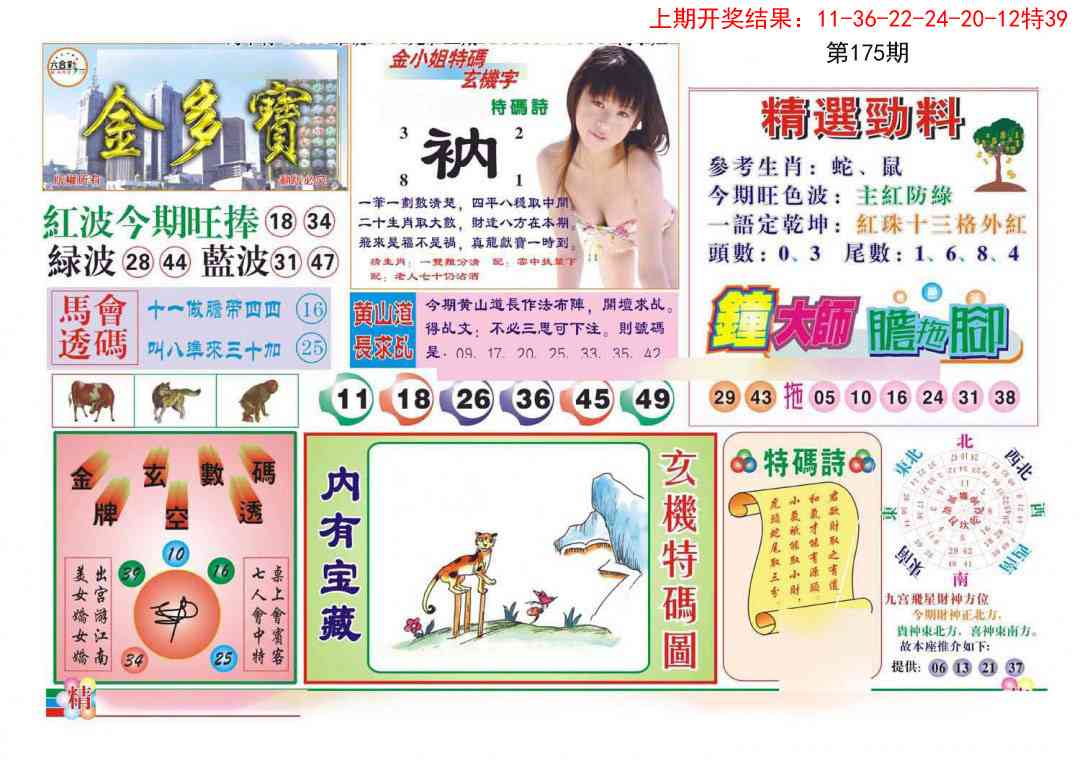 175期金多宝[图]