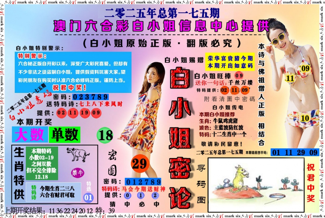 175期白小姐密论[图]