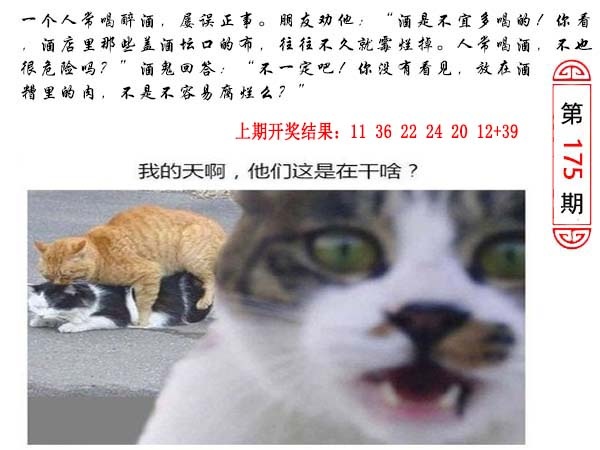 175期澳门生活幽默[图]