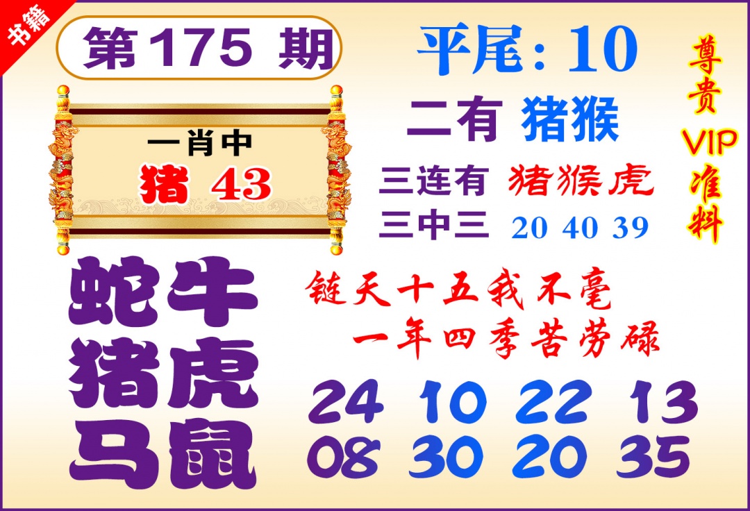175期澳门九龙天书[图]