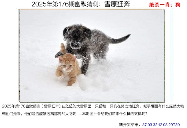 176期幽默猜测[图]