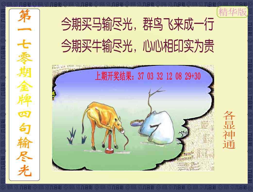 176期金牌四句输尽光[图]