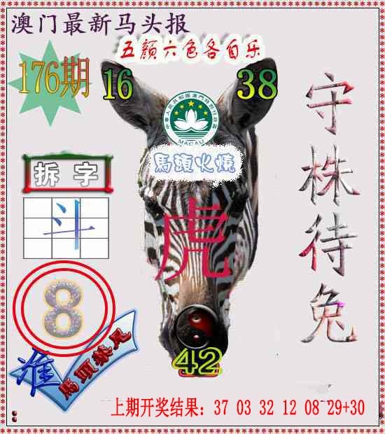 176期马头报[图]