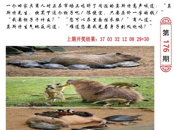 176期澳门生活幽默[图]