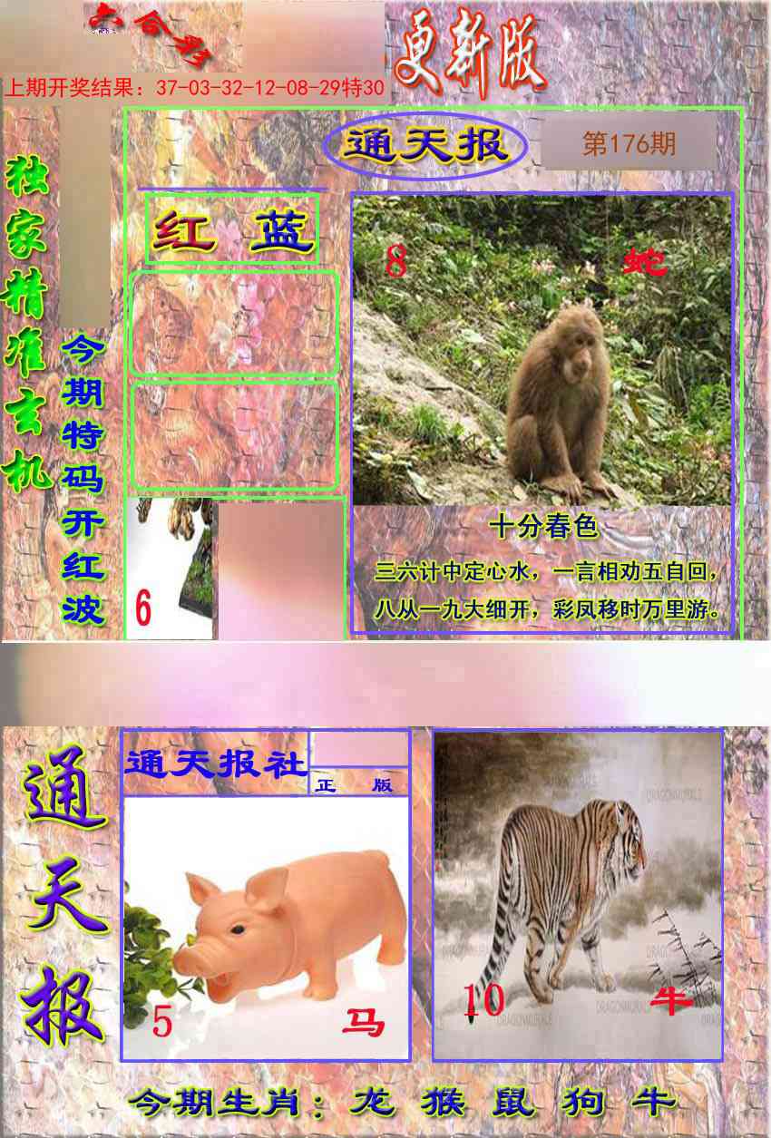 176期新通报[图]