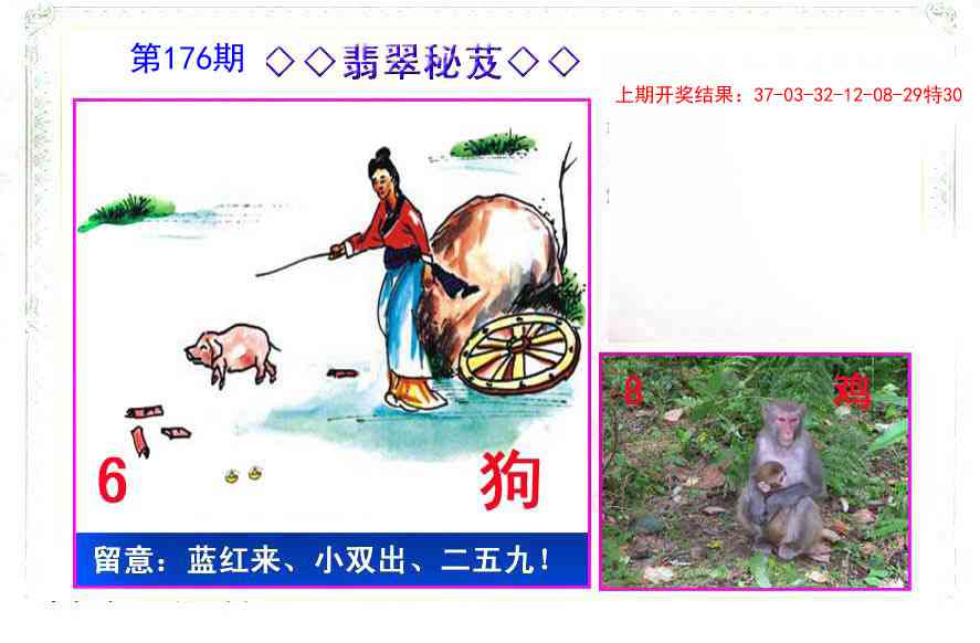 176期翡翠报[图]