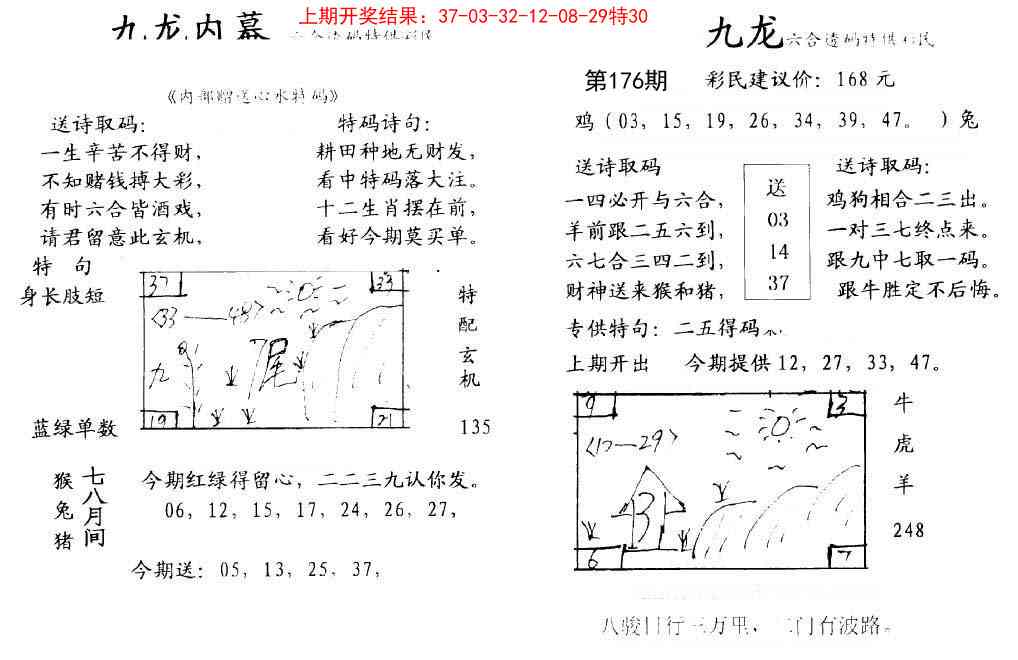 176期九龙内幕[图]