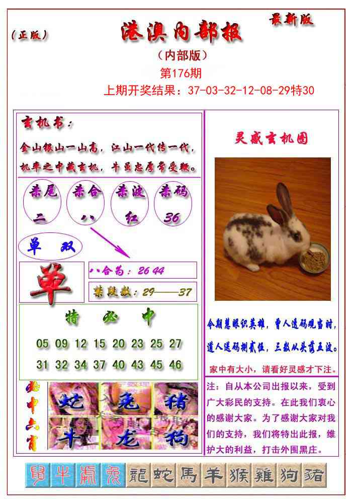 176期港澳报[图]