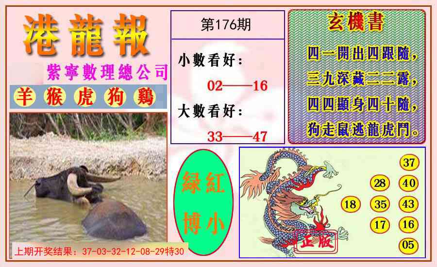 176期港龙报[图]