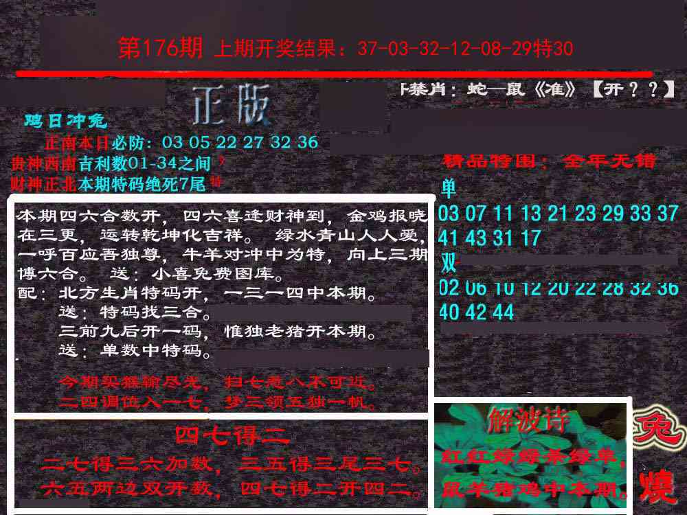 176期新港内幕[图]