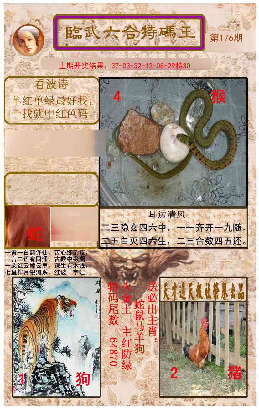 176期临武六合特码王[图]