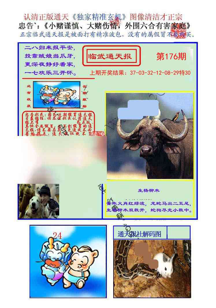 176期临武通天报[图]