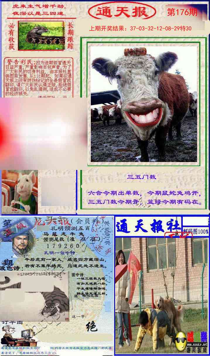 176期实力通天报[图]