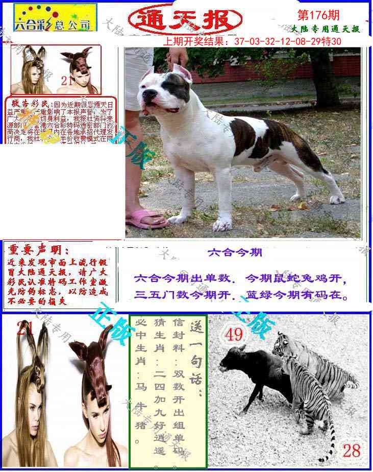 176期大陆通天报[图]