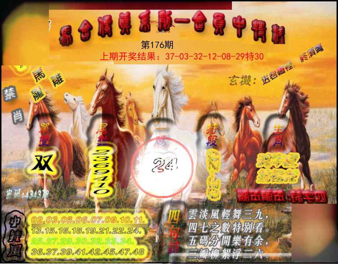 176期马会传真-会员报[图]