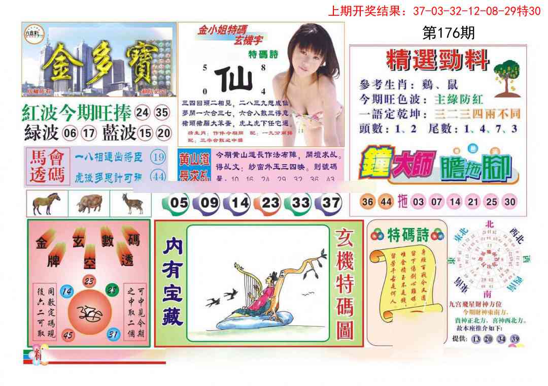176期金多宝[图]