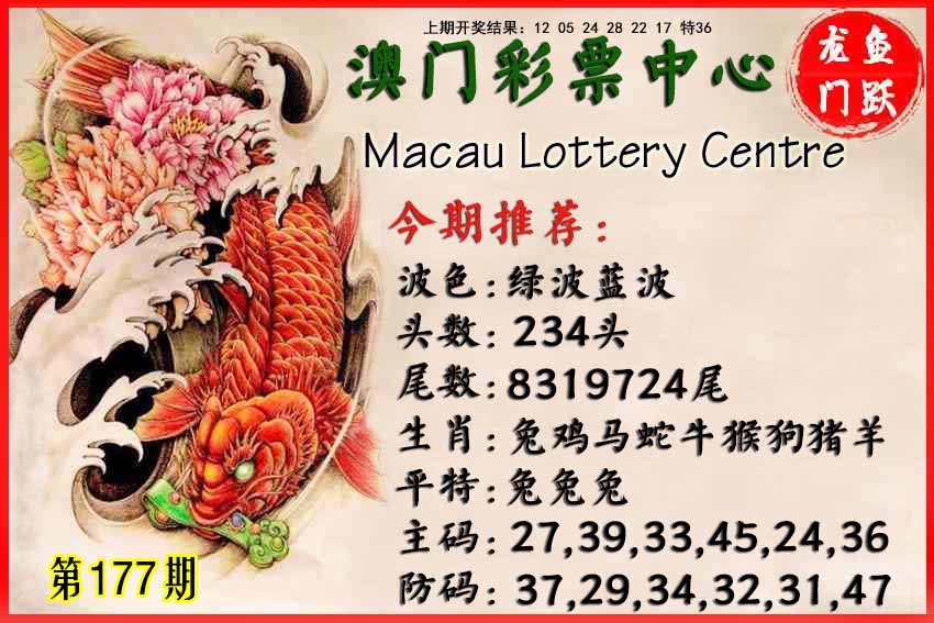 177期鱼跃龙门[图]