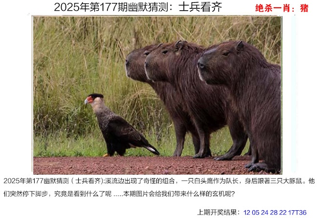 177期幽默猜测[图]