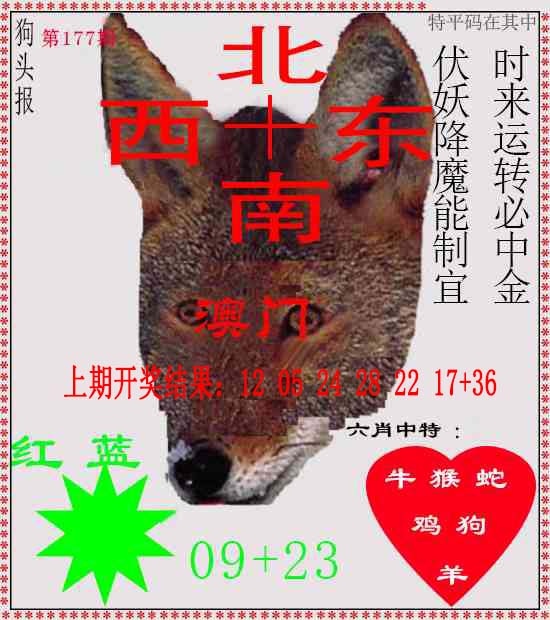177期狗头报[图]