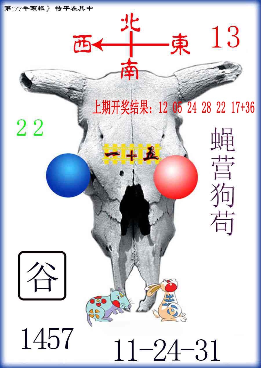 177期牛头报[图]