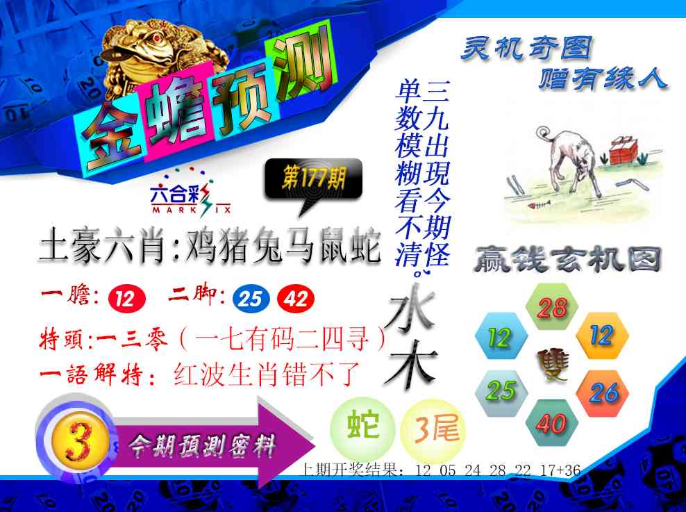 177期金蟾预测[图]