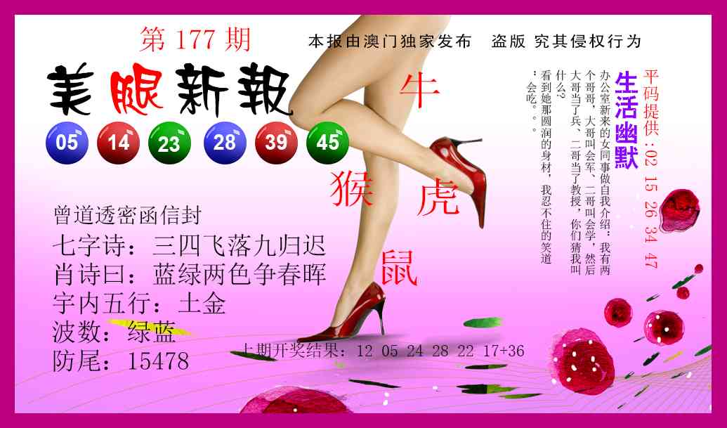 177期美腿新报[图]