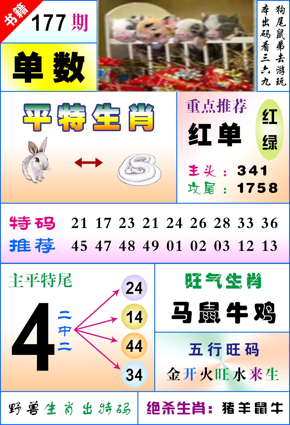 177期澳门风水平特[图]