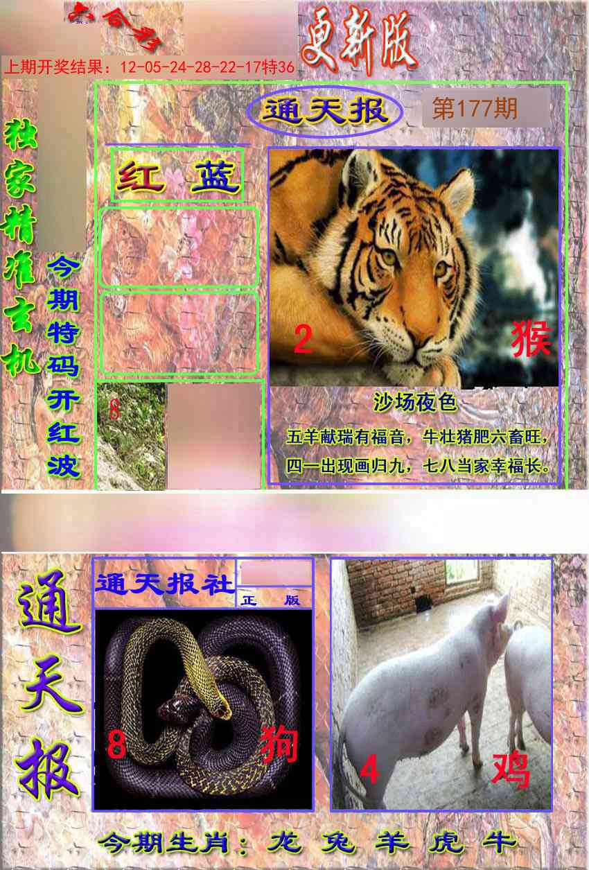177期新通报[图]