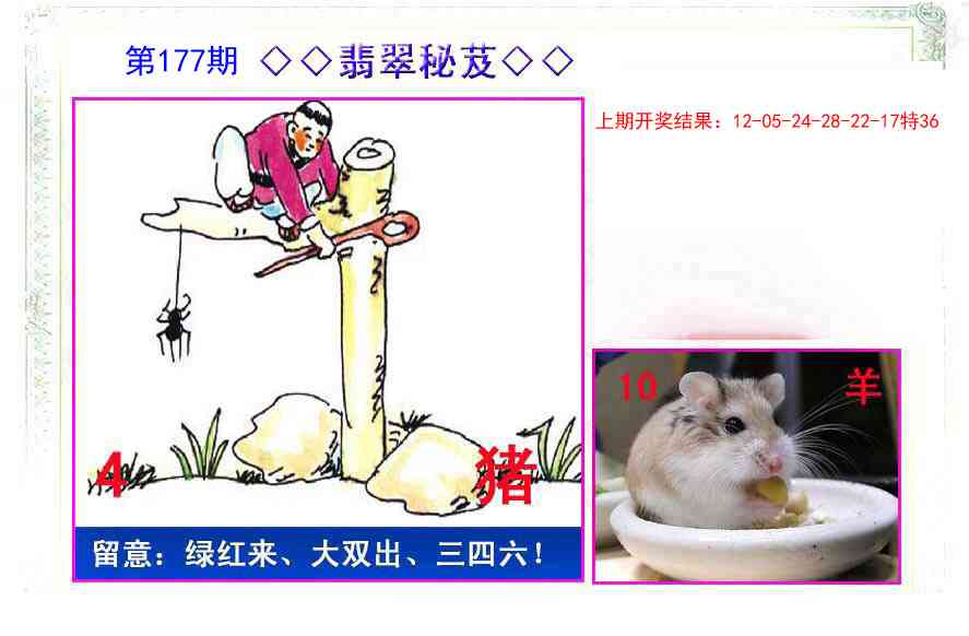 177期翡翠报[图]