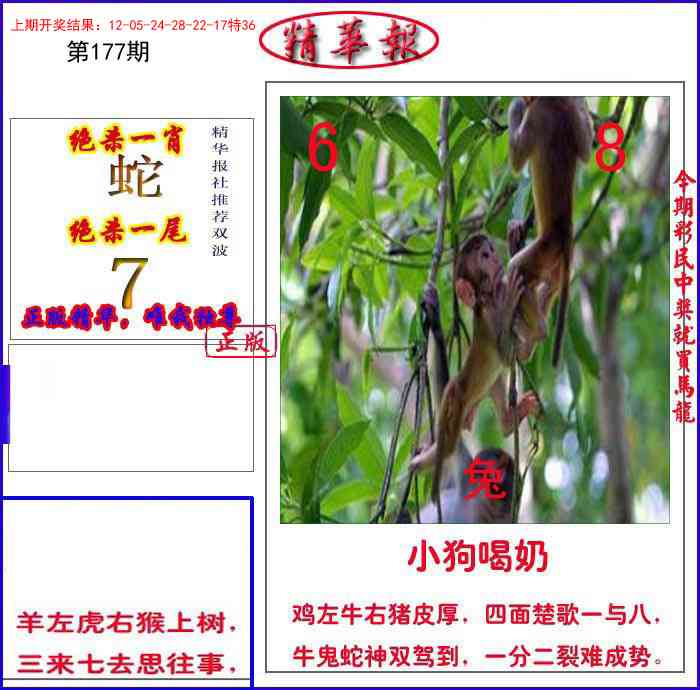 177期新精华报报[图]