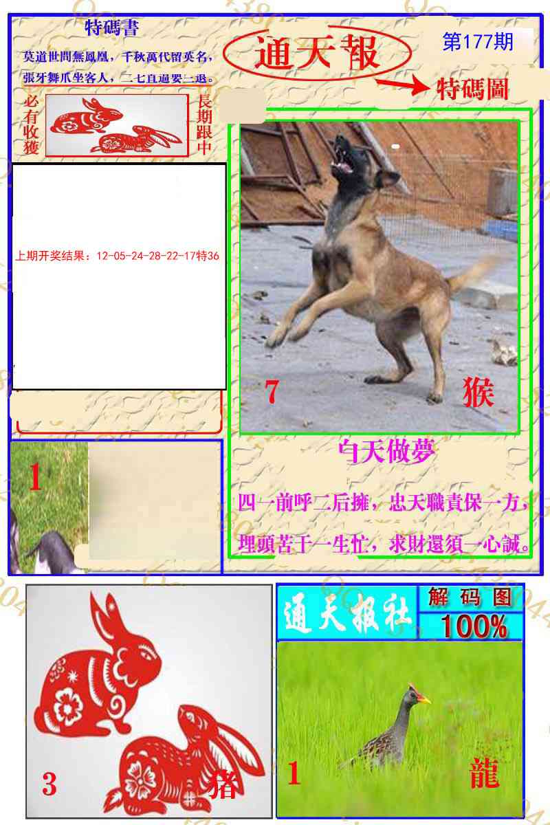 177期通天特解图[图]