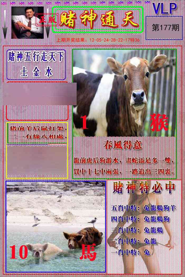 177期赌神通天报[图]