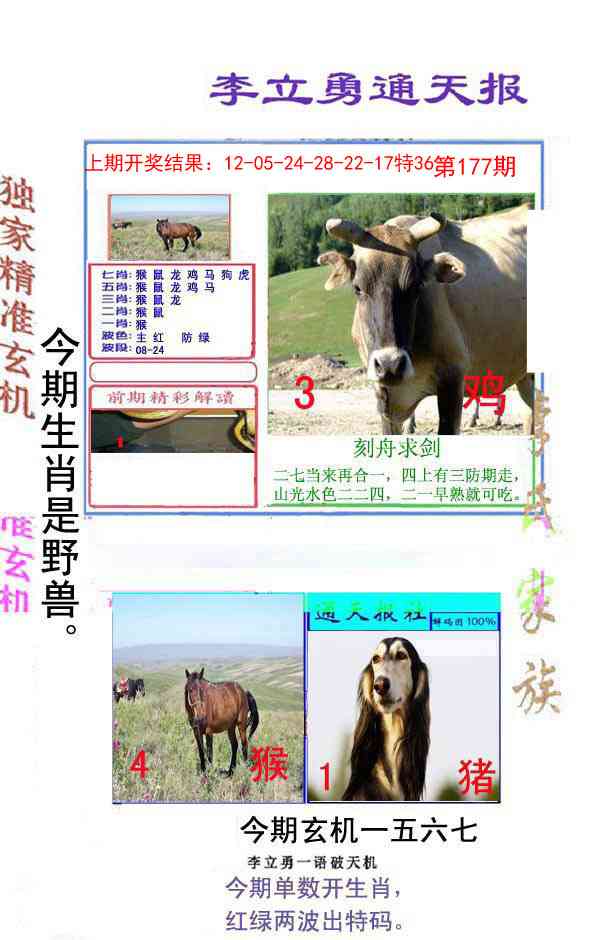 177期李立勇通天报[图]