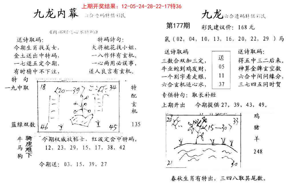 177期九龙内幕[图]