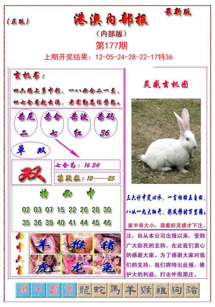 177期港澳报[图]