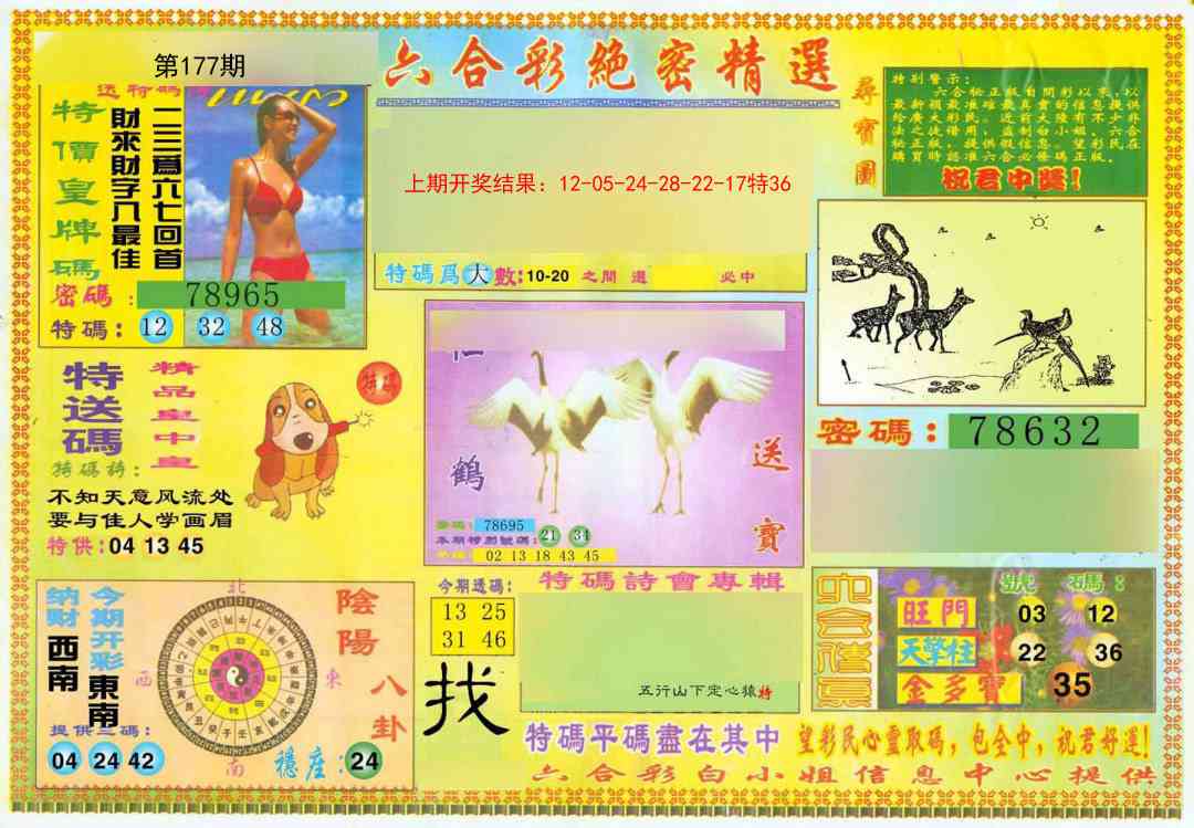 177期绝密精选A[图]